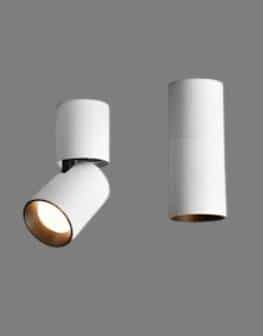 Surface Mounted Light